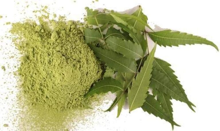 Neem leaves