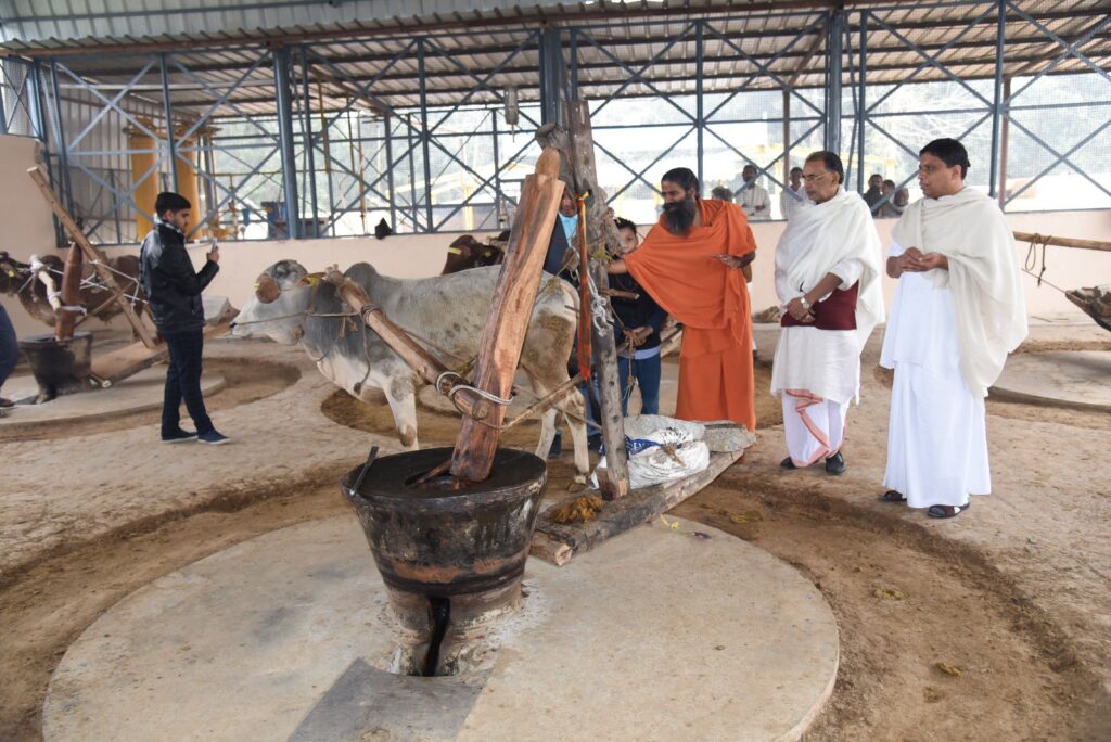 Mustard oil extracted from traditional wooden crusher