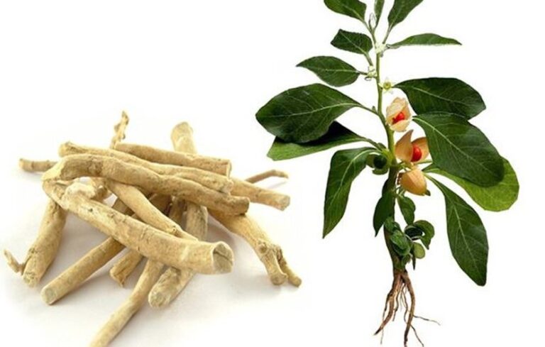 Ashwagandha