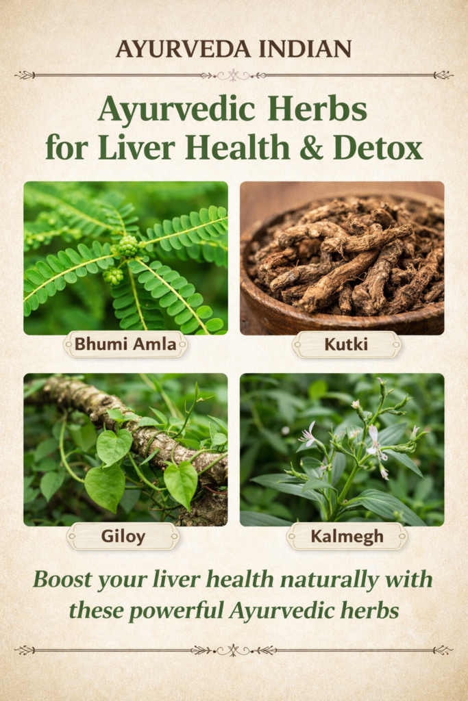 Ayurvedic Herbs for Liver Health