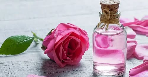 Ayurvedic Rose Water Benefits: पेट और स्किन के लिए वरदान गुलाबजल