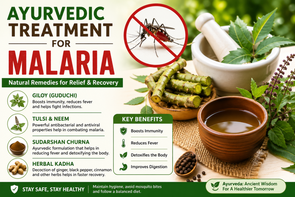 Ayurvedic Treatment for Malaria