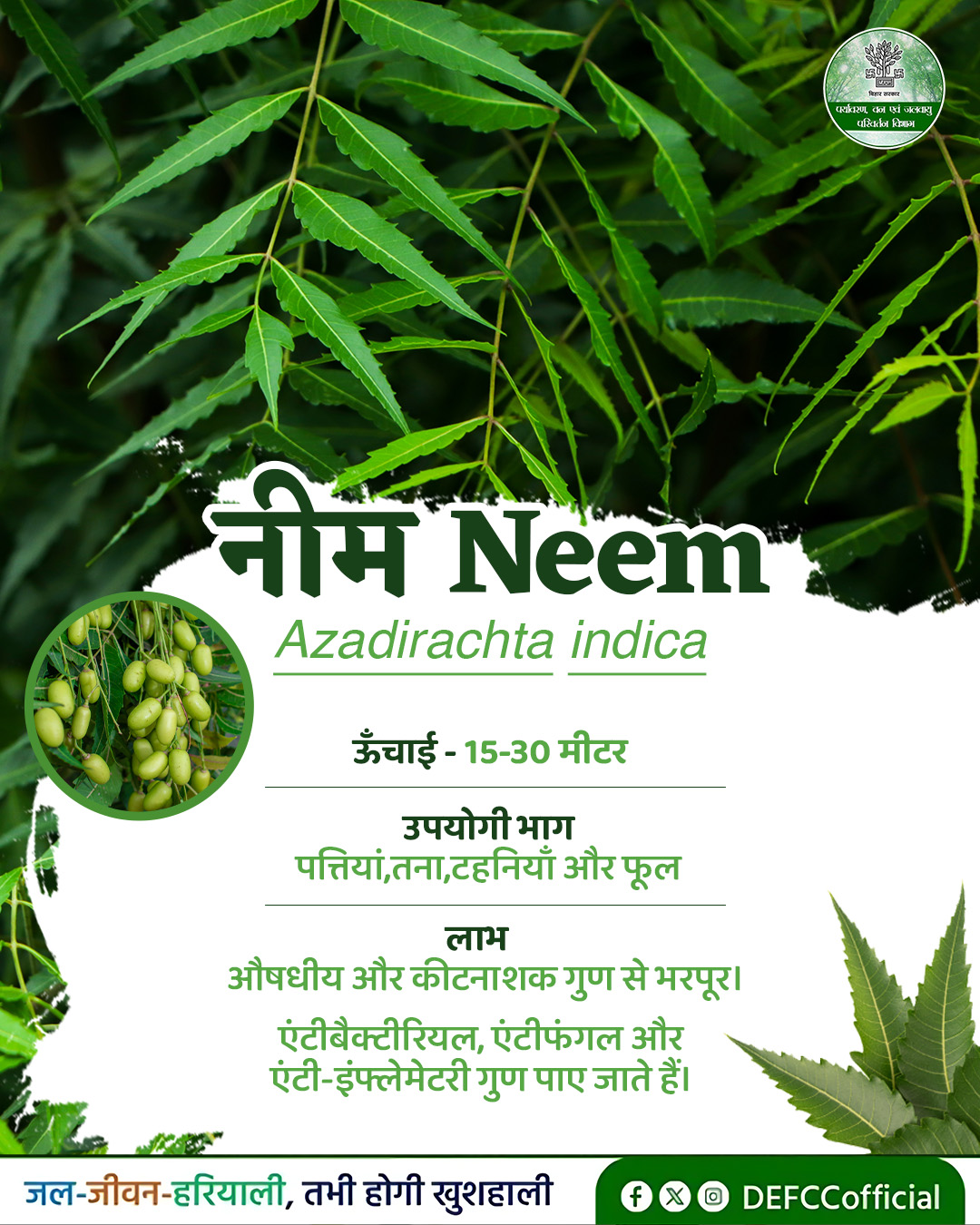 Neem benefits in Ayurveda: आयुर्वेद का अमृत वृक्ष
