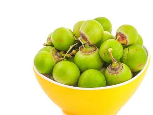 जंगली फल लसोड़ा है आयुर्वेदिक चमत्कारों से भरपूर