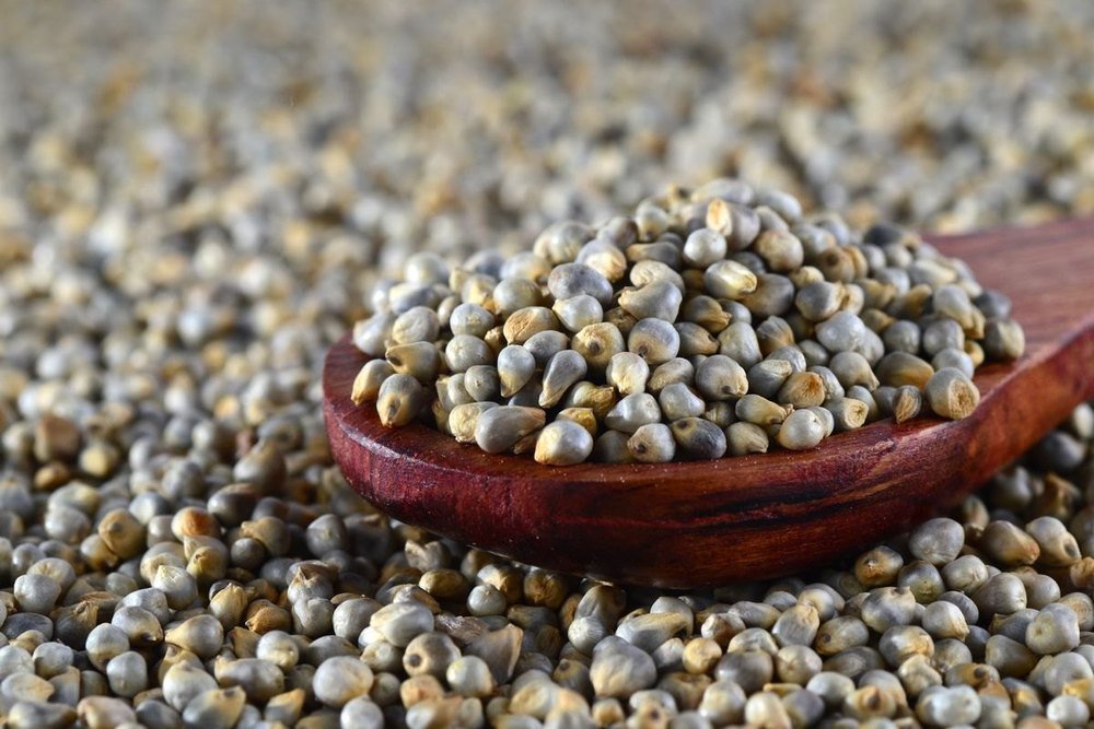 Bajra Benefits in Winter: Nutrition, Health Benefits and Ayurvedic Uses
